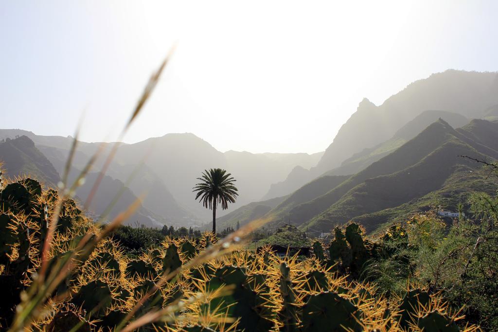 La Papaya - Eco - Yoga - Hiking - Hostel Agaete  Dış mekan fotoğraf